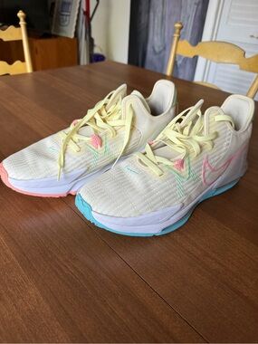 Nike LeBron Witness VI Size 12